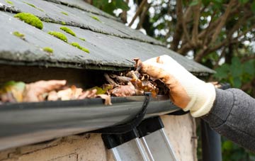 gutter cleaning Balnakilly, Perth And Kinross