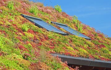 Balnakilly living roof systems